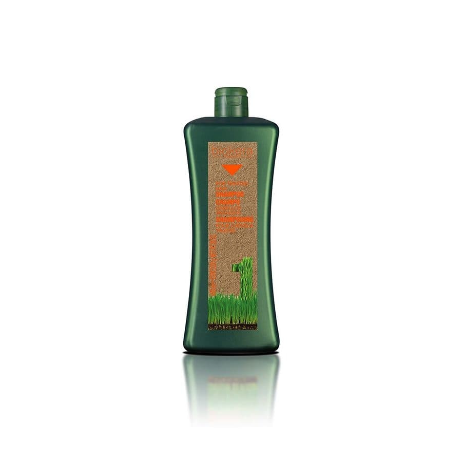 SALERM BIOKERA CABELLOS TRATADOS SHAMPOO 1000ML